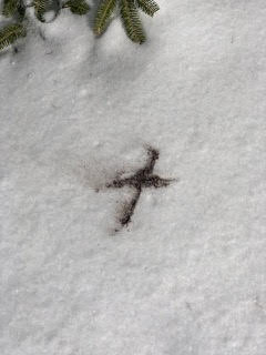 cross of ashes in snow